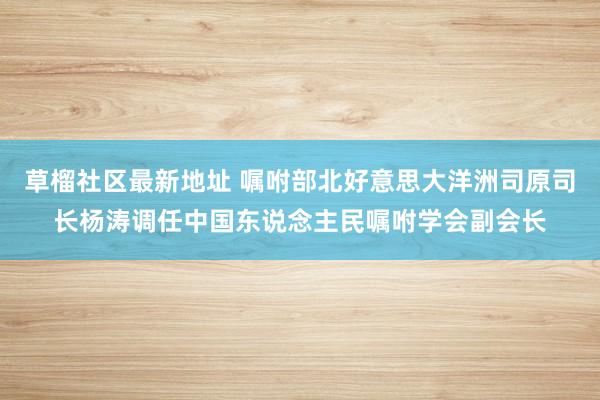 草榴社区最新地址 嘱咐部北好意思大洋洲司原司长杨涛调任中国东说念主民嘱咐学会副会长