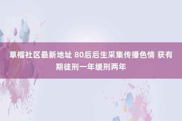 草榴社区最新地址 80后后生采集传播色情 获有期徒刑一年缓刑两年