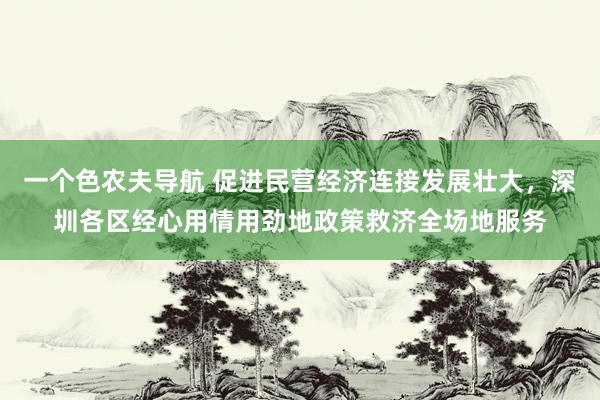 一个色农夫导航 促进民营经济连接发展壮大，深圳各区经心用情用劲地政策救济全场地服务