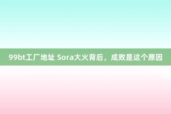 99bt工厂地址 Sora大火背后，成败是这个原因