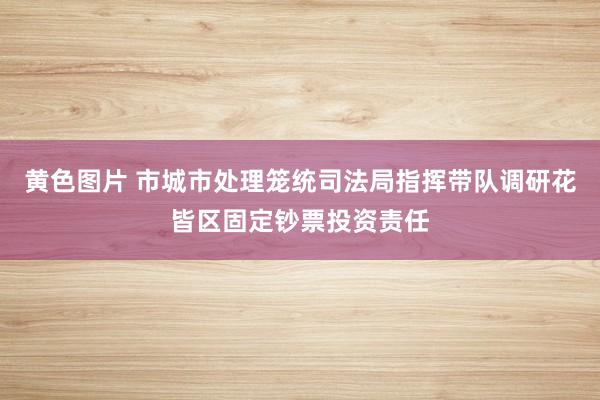 黄色图片 市城市处理笼统司法局指挥带队调研花皆区固定钞票投资责任