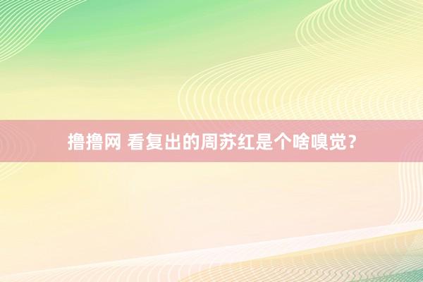 撸撸网 看复出的周苏红是个啥嗅觉？