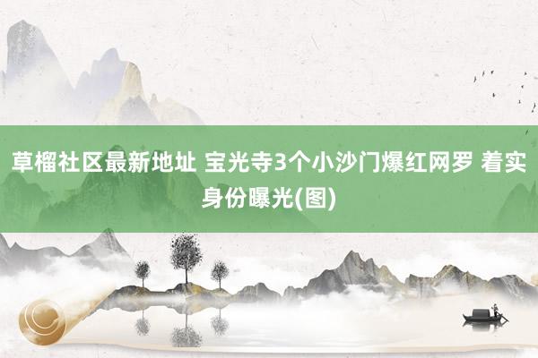 草榴社区最新地址 宝光寺3个小沙门爆红网罗 着实身份曝光(图)