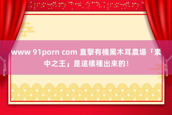 www 91porn com 直擊有機黑木耳農場　「素中之王」是這樣種出來的！