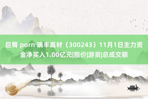 巨臀 porn 瑞丰高材（300243）11月1日主力资金净买入1.00亿元|股价|游资|总成交额