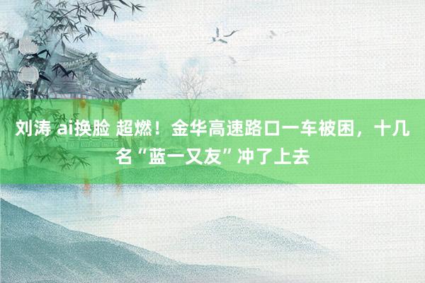 刘涛 ai换脸 超燃！金华高速路口一车被困，十几名“蓝一又友”冲了上去