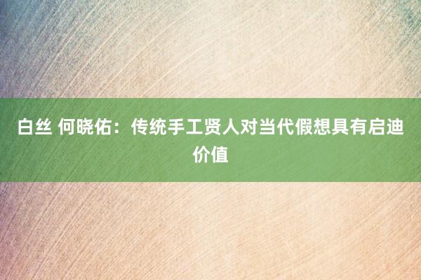 白丝 何晓佑：传统手工贤人对当代假想具有启迪价值