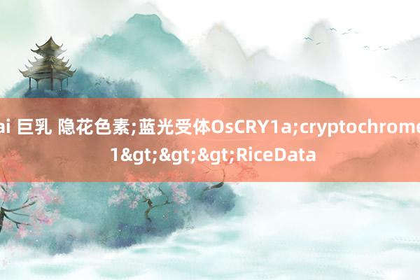 ai 巨乳 隐花色素;蓝光受体OsCRY1a;cryptochrome 1>>>RiceData